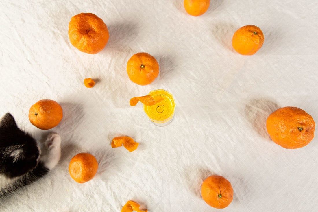 AN ODE TO NEROLI