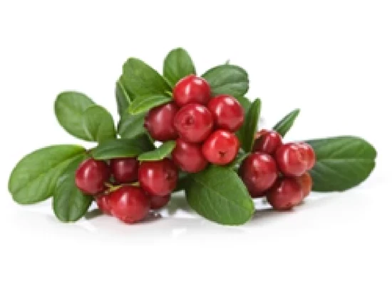 ORGANIC CRANBERRY SEED OIL