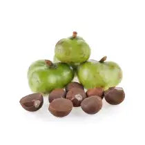 WILDCRAFTED TAMANU OIL