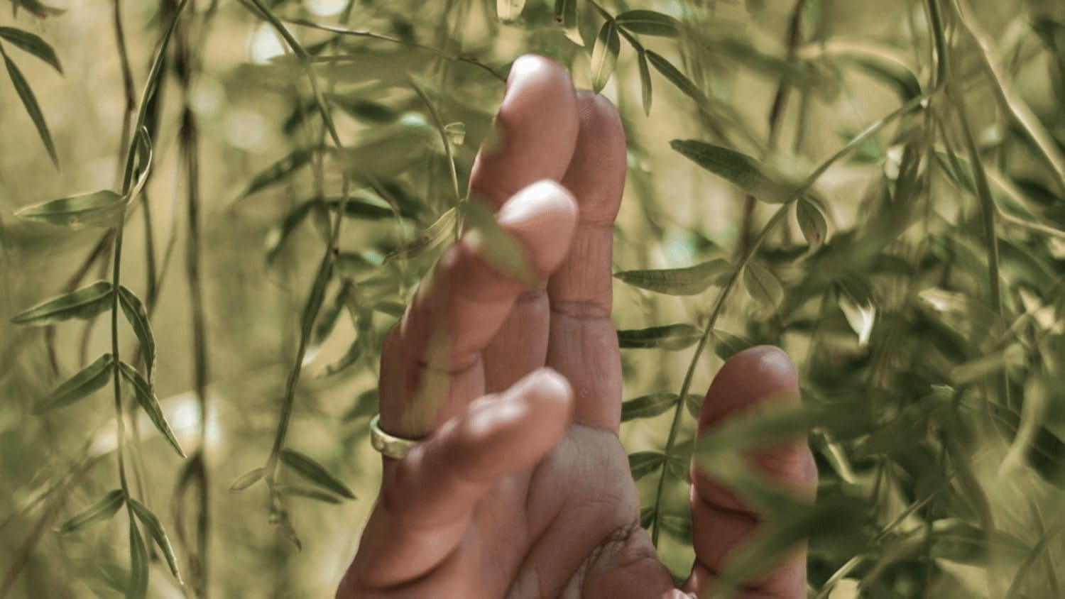 SUSTAINABILITY in beauty